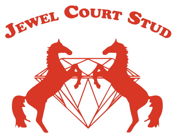 Logo jewelcourtstud